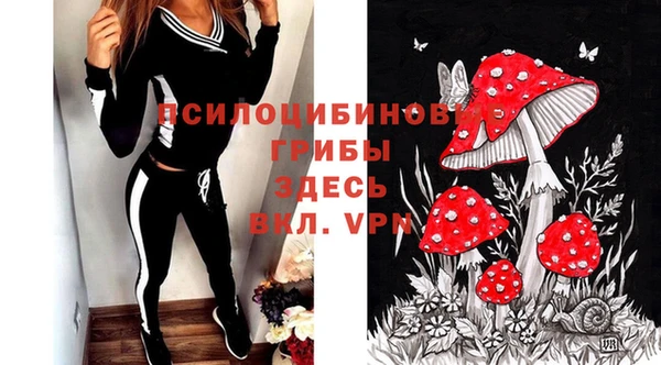 гидропоника Пересвет
